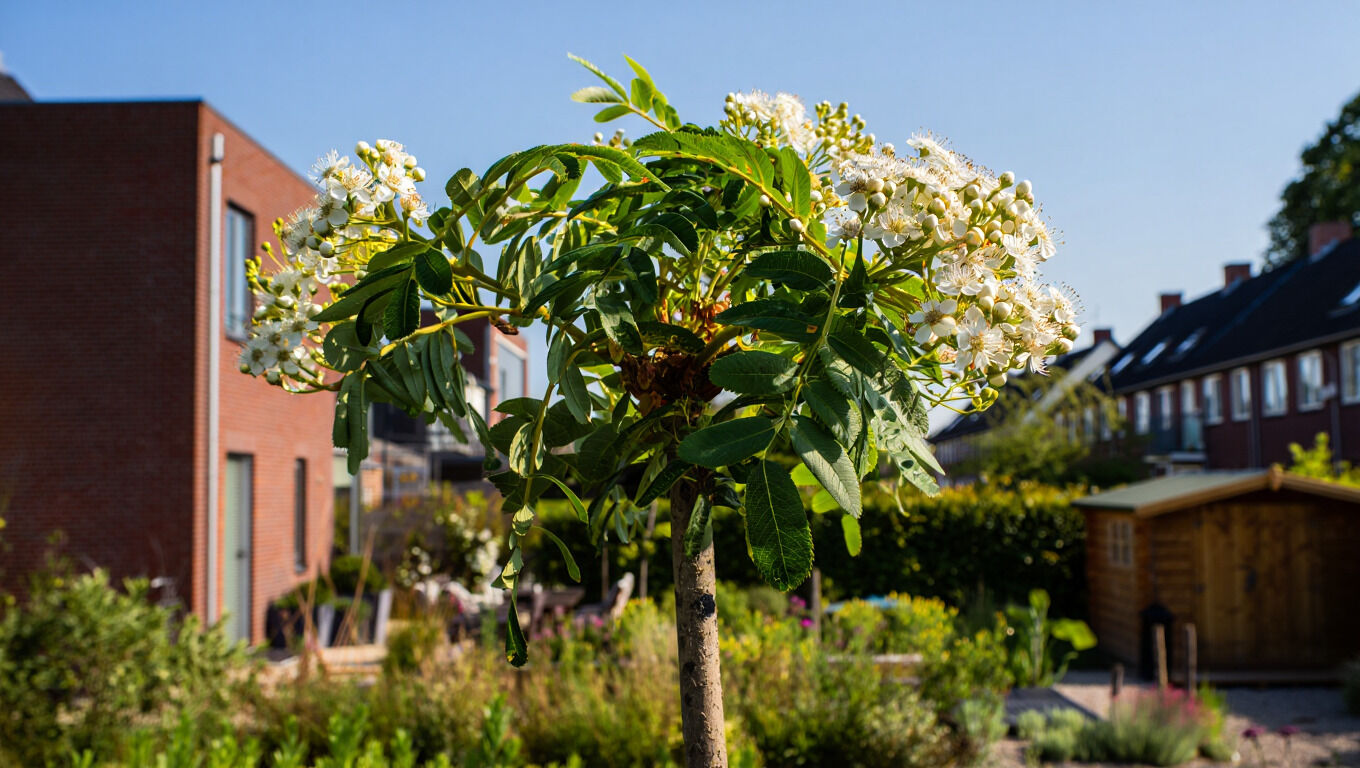 [paste advice page name here]